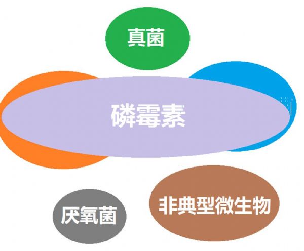 看图“话”抗菌谱，赶紧收藏