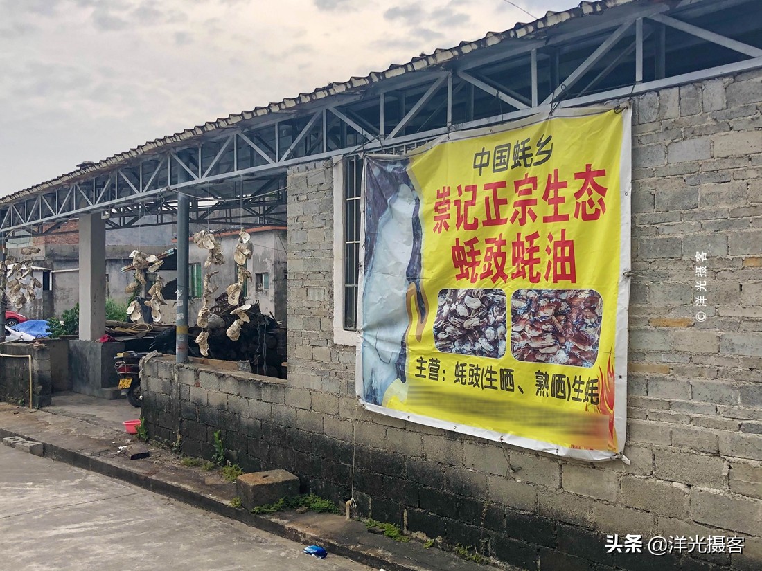 阳西县程村镇蚝排,阳西中国蚝乡在哪里