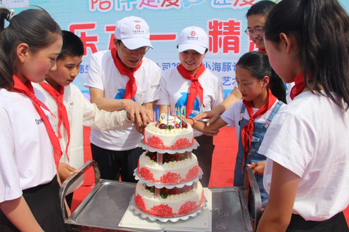 小海豚公益活动策划方案,小海豚计划直播