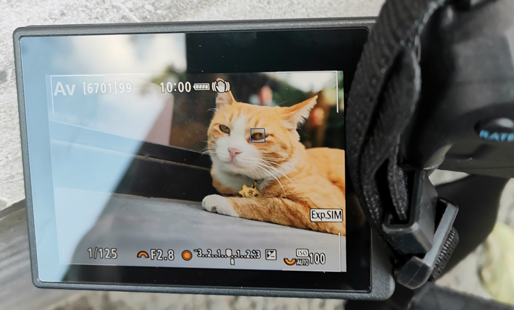 进阶玩家,佳能eosr6上手全画幅微单新标准