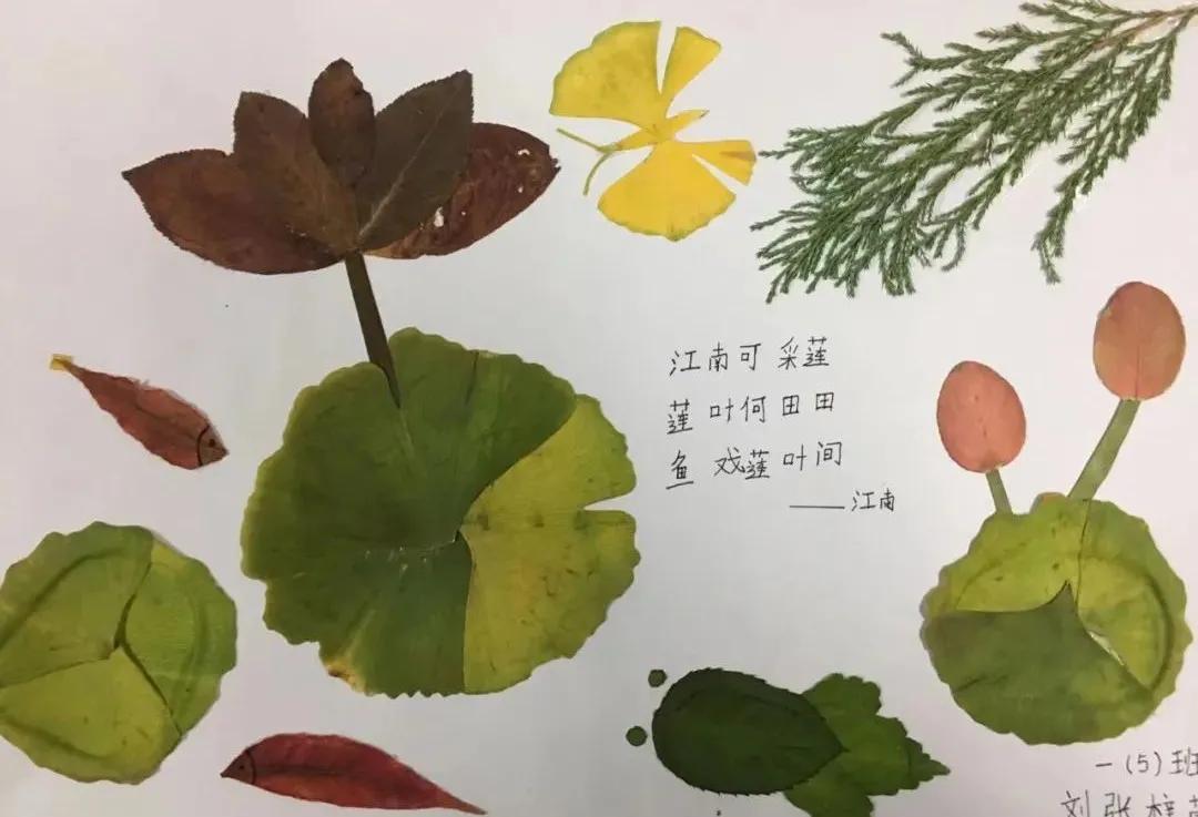 石家庄裕东小学东校区,石家庄裕东小学片内校区