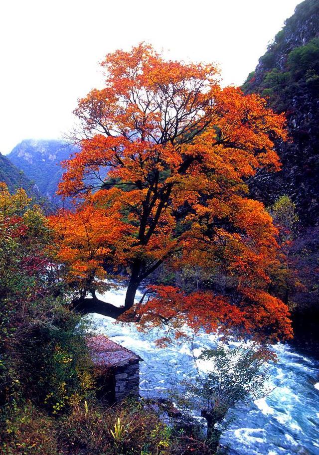 理塘丁真引起的旅游效应,理塘县旅游最佳的地方