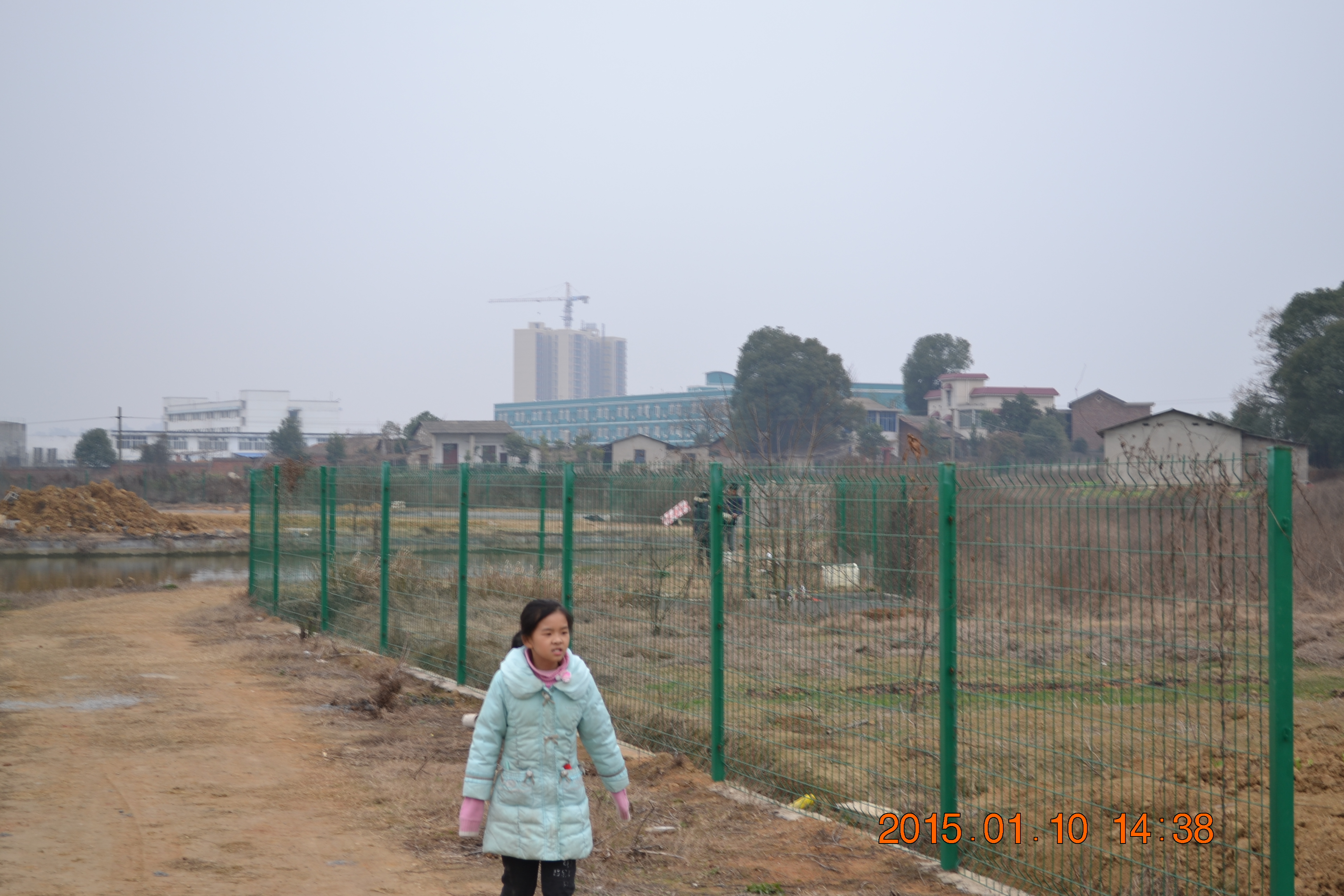 湖南最好的锦鲤养殖基地,湘潭锦鲤养殖
