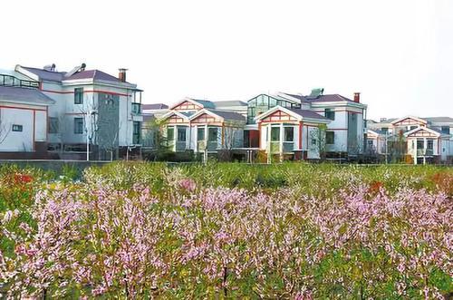 共同富裕农村社区,村集体共同富裕