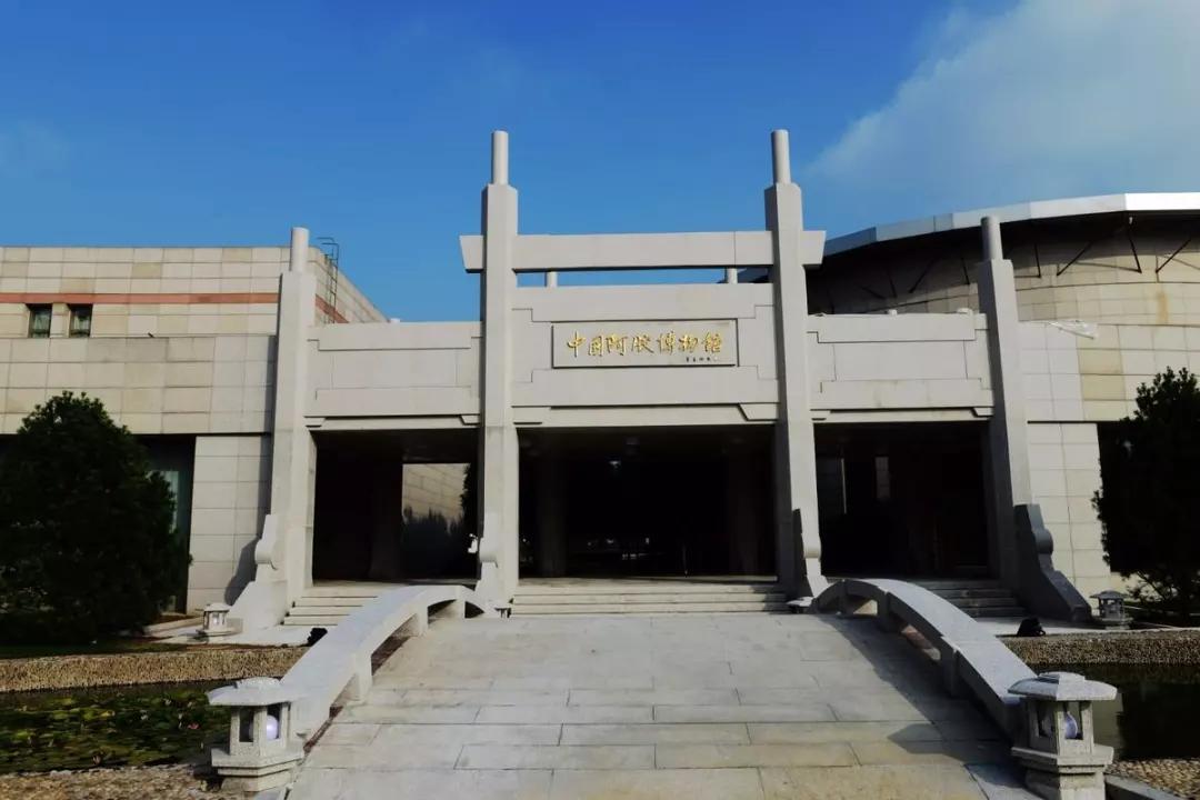 大美在东阿的视频,东阿大美