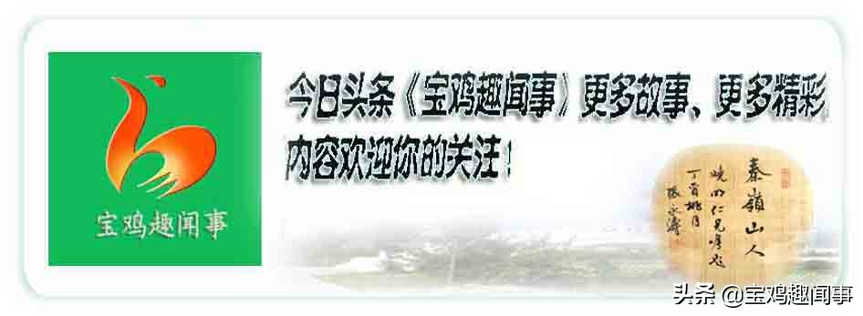 老宝鸡的回忆文章,老宝鸡回忆录全集