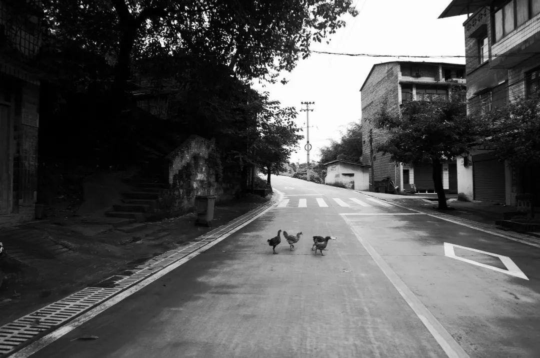 秦昊在重庆生活吗,秦昊现实中的生活