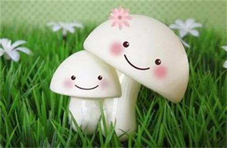 高考调整心态的最佳方法,遇到烦心事怎么调整心态