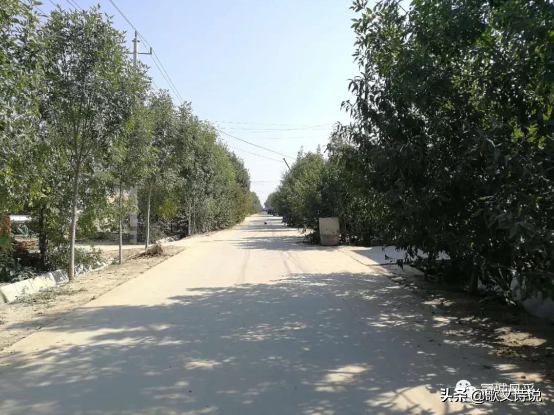 冠县贾镇高庄铺村,冠县乡韵北馆陶宗屯村