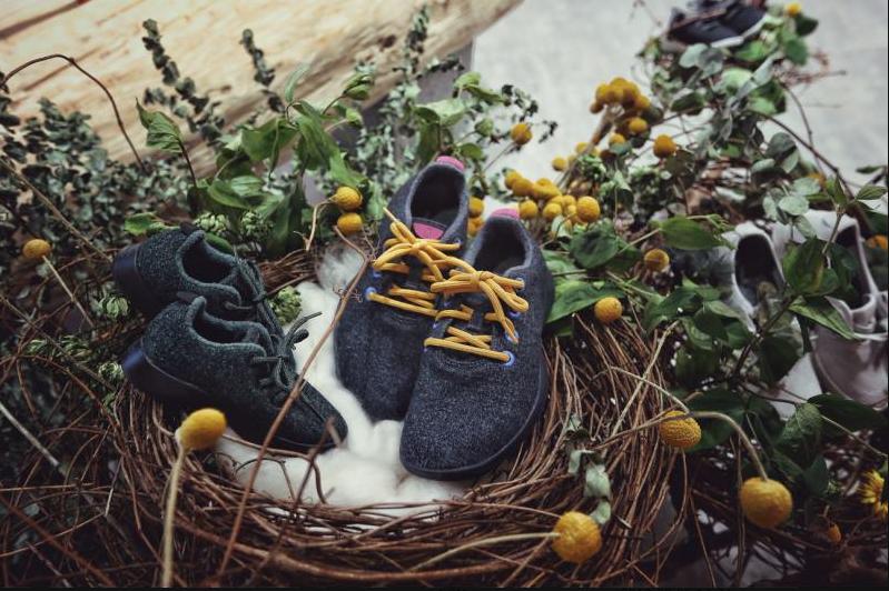 allbirds鞋多少钱一双,allbirds值得入手吗