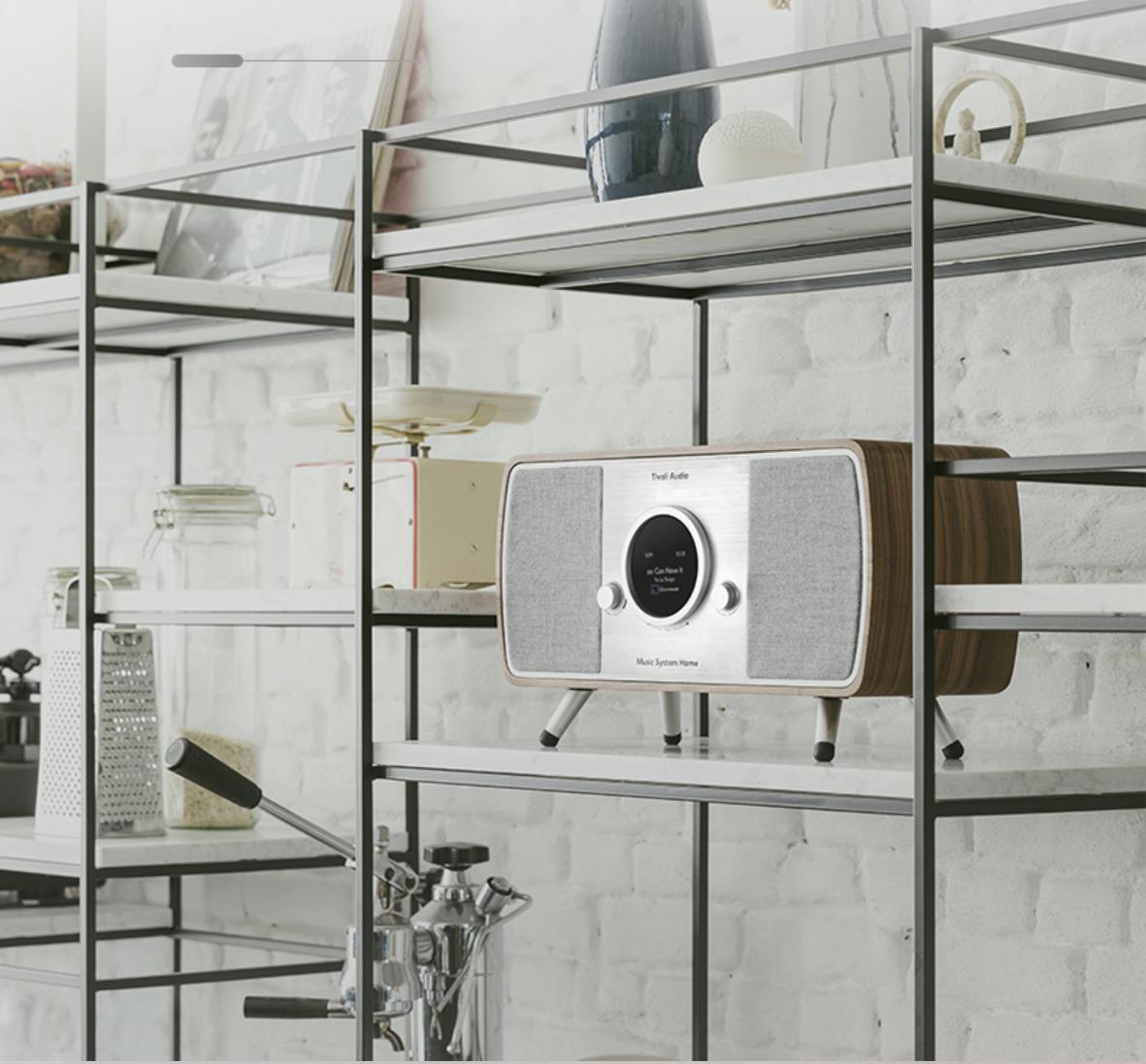 一入电音深似海枪声版,有哪些值得购买的音箱呢