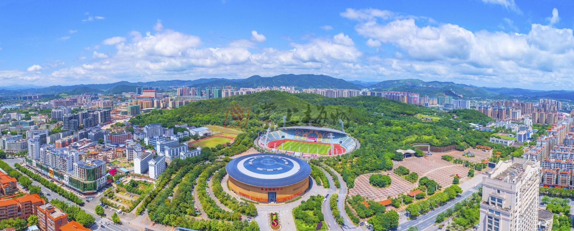 栽下梧桐树引得凤凰来出处,栽下梧桐树引得凤凰来