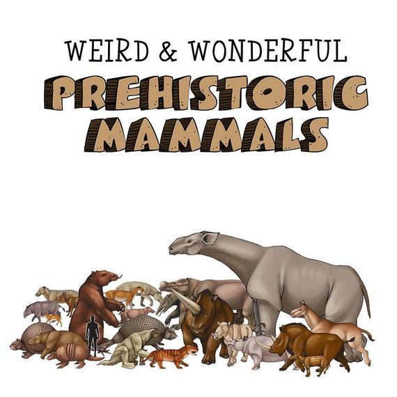 人的眼睛在动物界的水平,人的视力在动物界排名