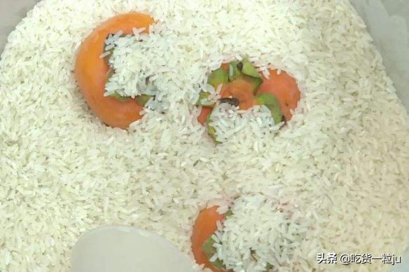 柿子熟的快怎么办,柿子不熟太涩怎么办