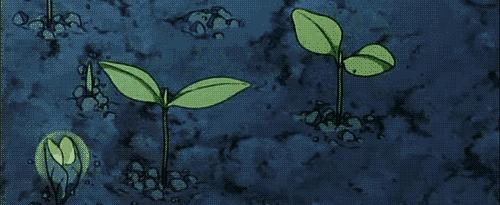 可以长头发的樱花洗发水,樱花水感控油清爽洗发水