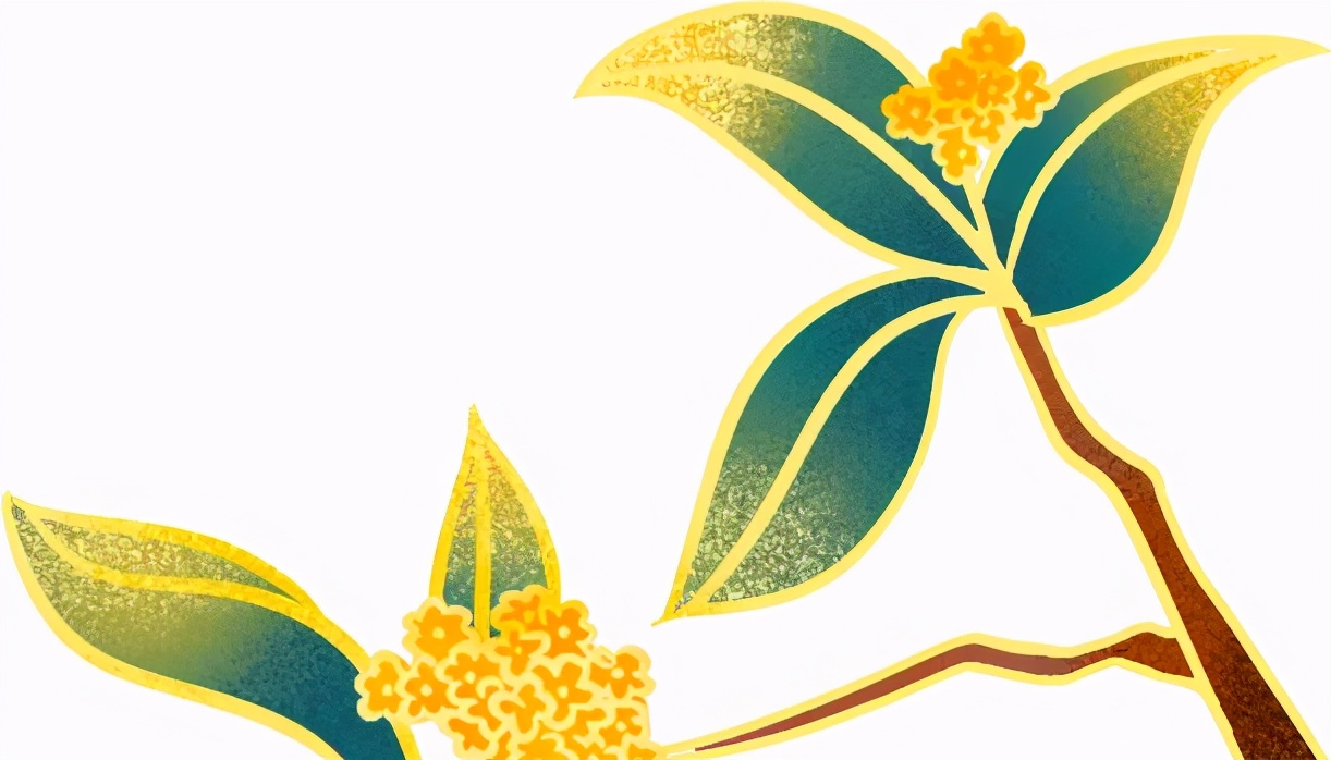 第七届GZDDW丨第三届粤港澳肠道微生态论坛暨广东省医学会结直肠肛门外科分会学术研讨会顺利召开