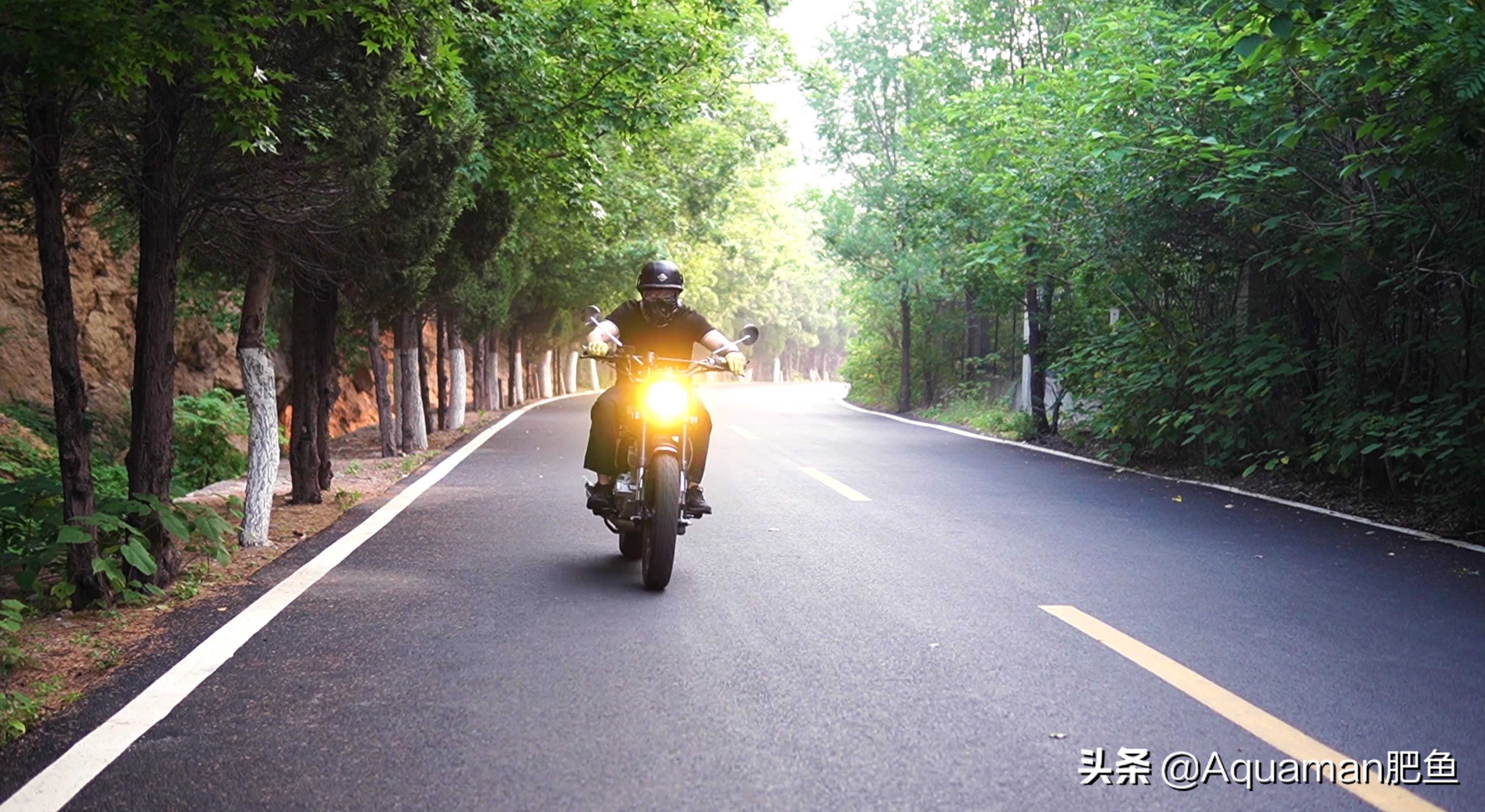 怎么低成本做个鱼缸,不用二氧化碳低成本的水草缸