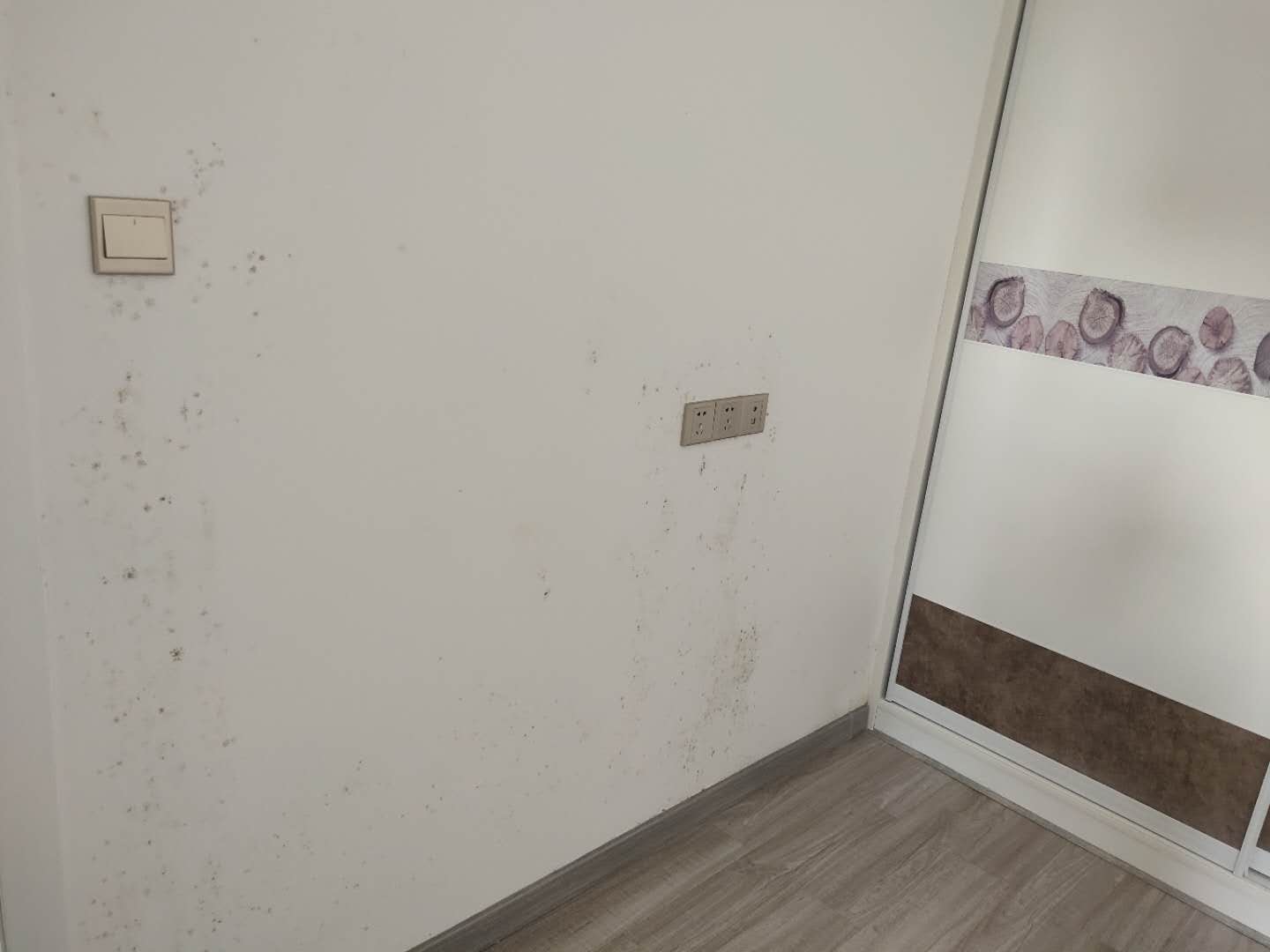 黄冈鼎盛华城天越房价,黄冈鼎盛华城多少户