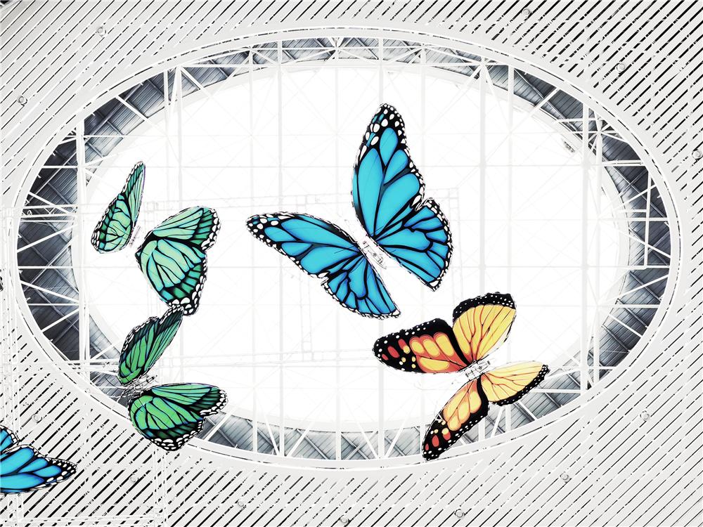 我和我的城市摄影作品,我和我的城市vlog短视频大赛