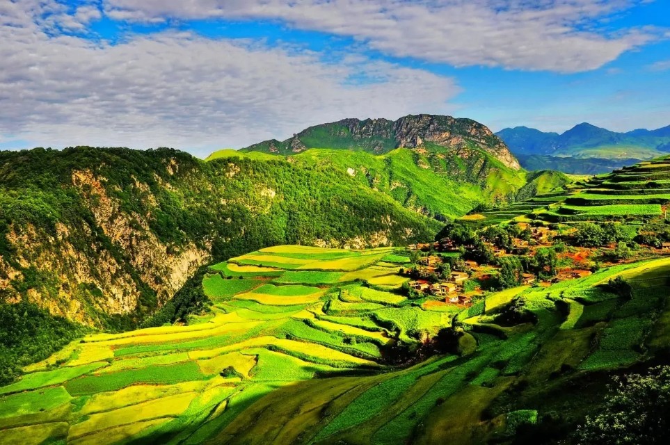 莲花山上莲花寺,莲花山普宁山顶