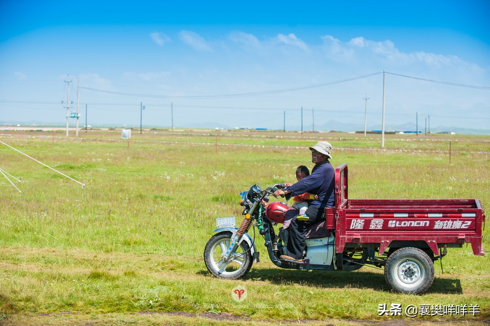 中国名马之乡,也是亚洲第一天然牧场