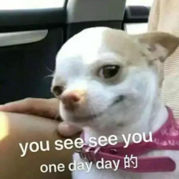 playthephone玩手机,玩手机的时候千万别说这句话