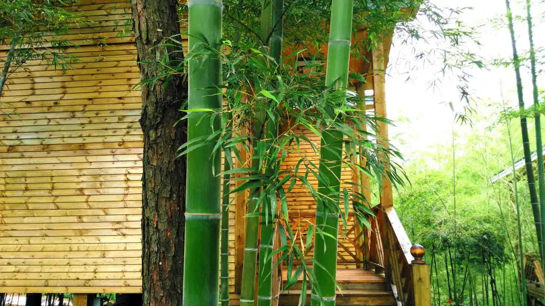 【在韶关过大年】春节游玩，推荐韶关这10间精品民宿！颜值高，来过慢生活