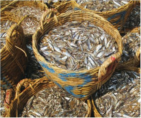 越南的富国岛旅游,富国岛网红海滩