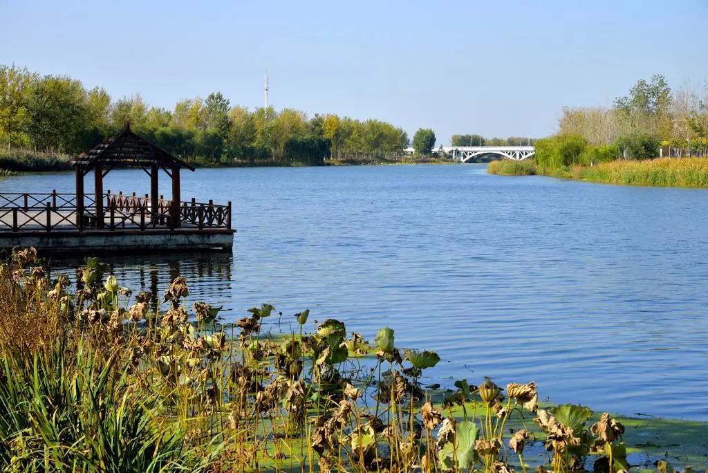 武清区最新发展情况,武清城市的变化