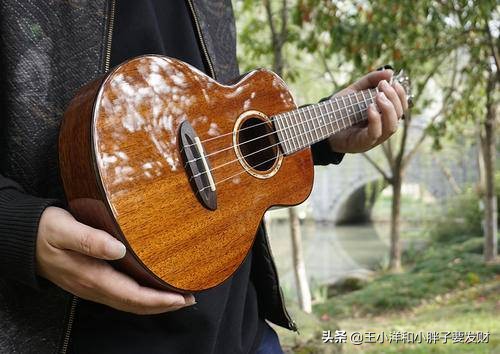 怎样选一把好的尤克里里,十大入门级尤克里里推荐