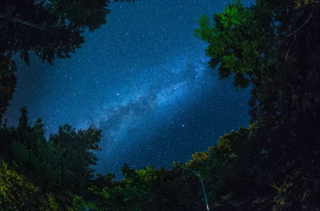 白云山景区民宿一家五口,白云山森林小屋民宿