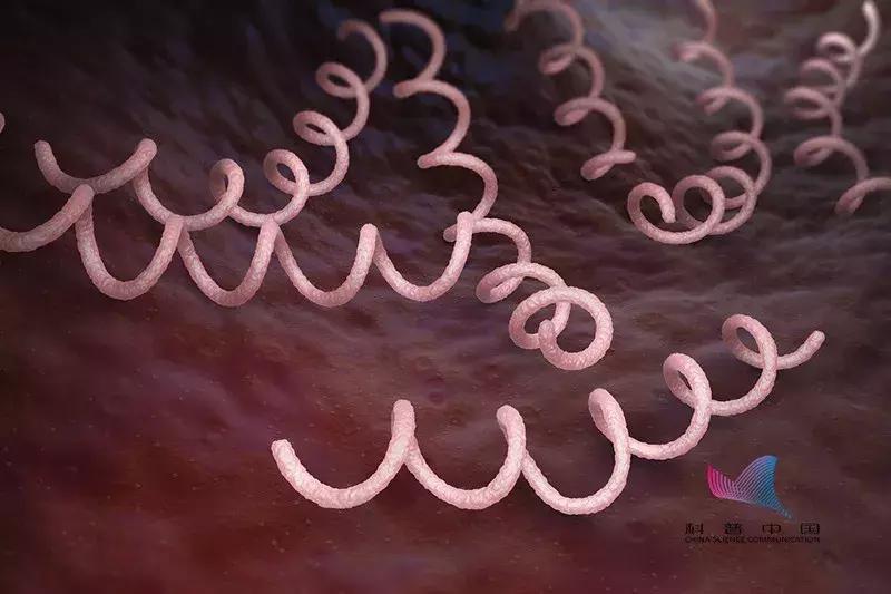 震惊全国的艾滋病人体实验,艾滋病传染途径占比最大的是