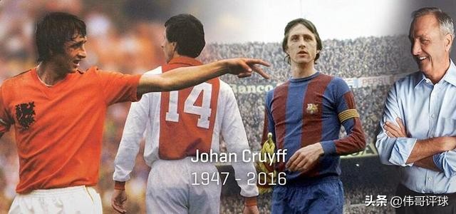 郁金香和克鲁伊夫,克鲁伊夫郁金香