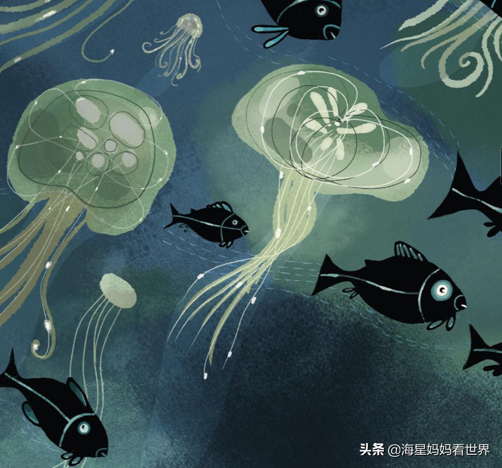 让孩子想象力训练书,让孩子想象力爆棚的秘诀