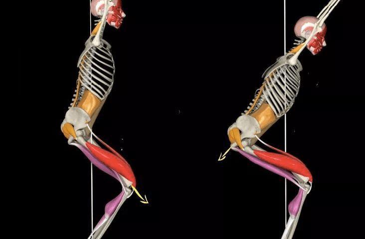 天生胯宽怎么练最快消除,产后收胯瑜伽视频教程