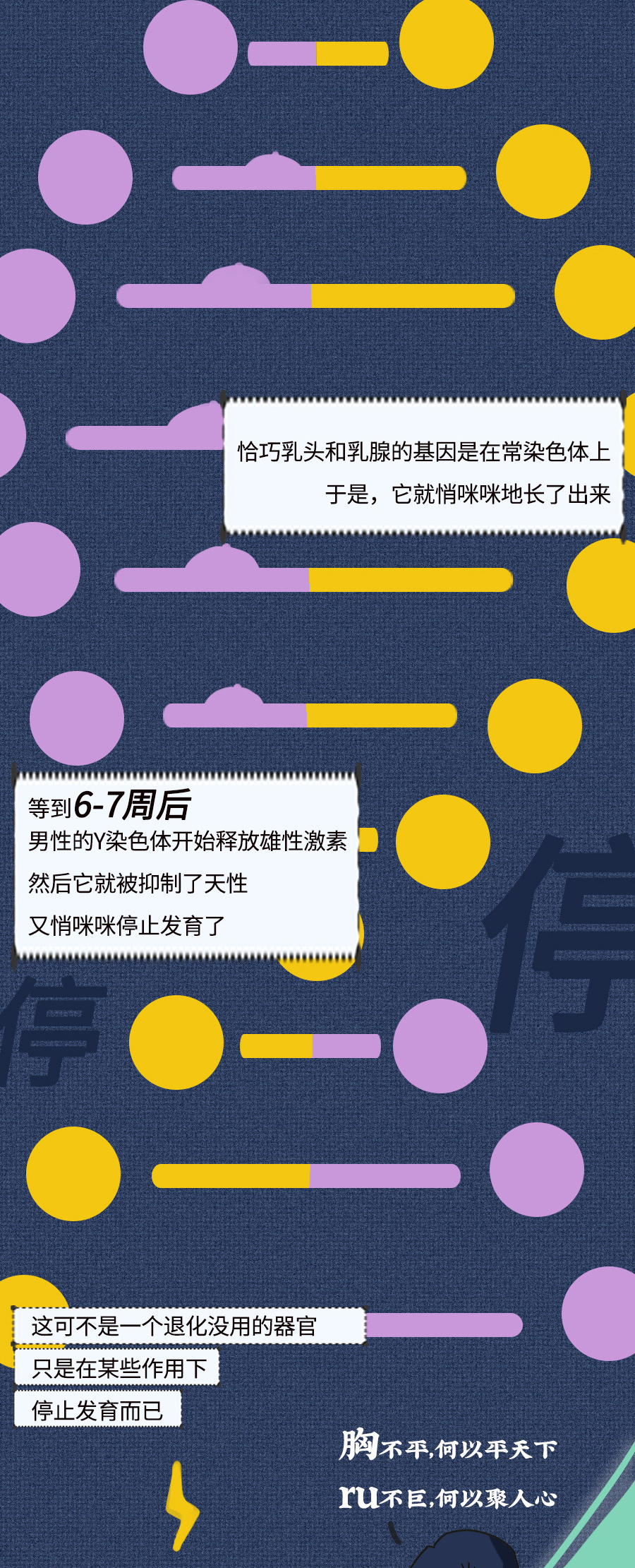 男人有胸,男人练胸