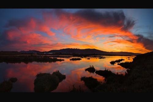 如何处理质疑导致的中标结果改变,中标结果对评分有异议如何质疑