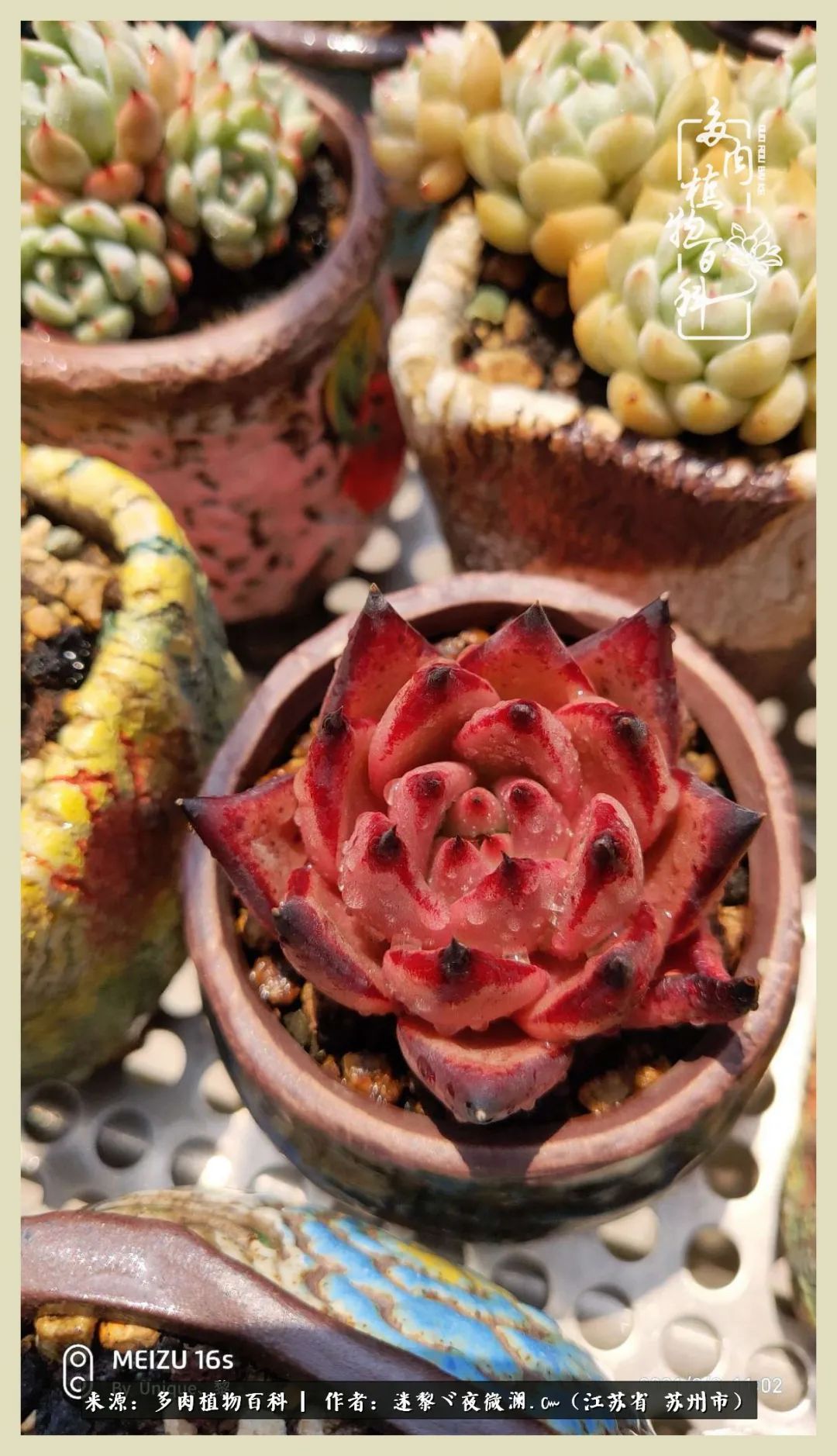 秋尽冬来岁月不居时节如流,岁月不居时节如流水