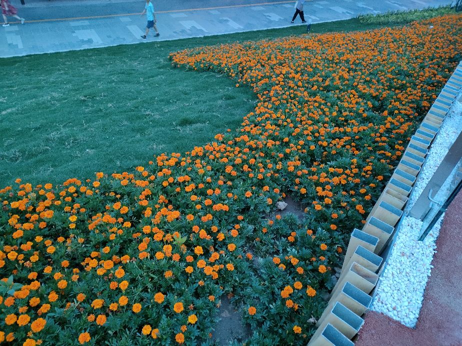 西安市的繁华地方小寨,西安小寨公园有哪些