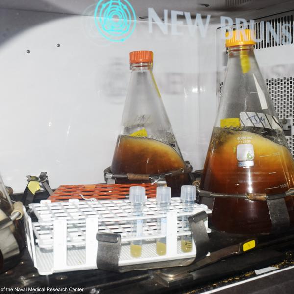 为救绝症老公和时间赛跑,为救绝症丈夫与时间赛跑女科学家