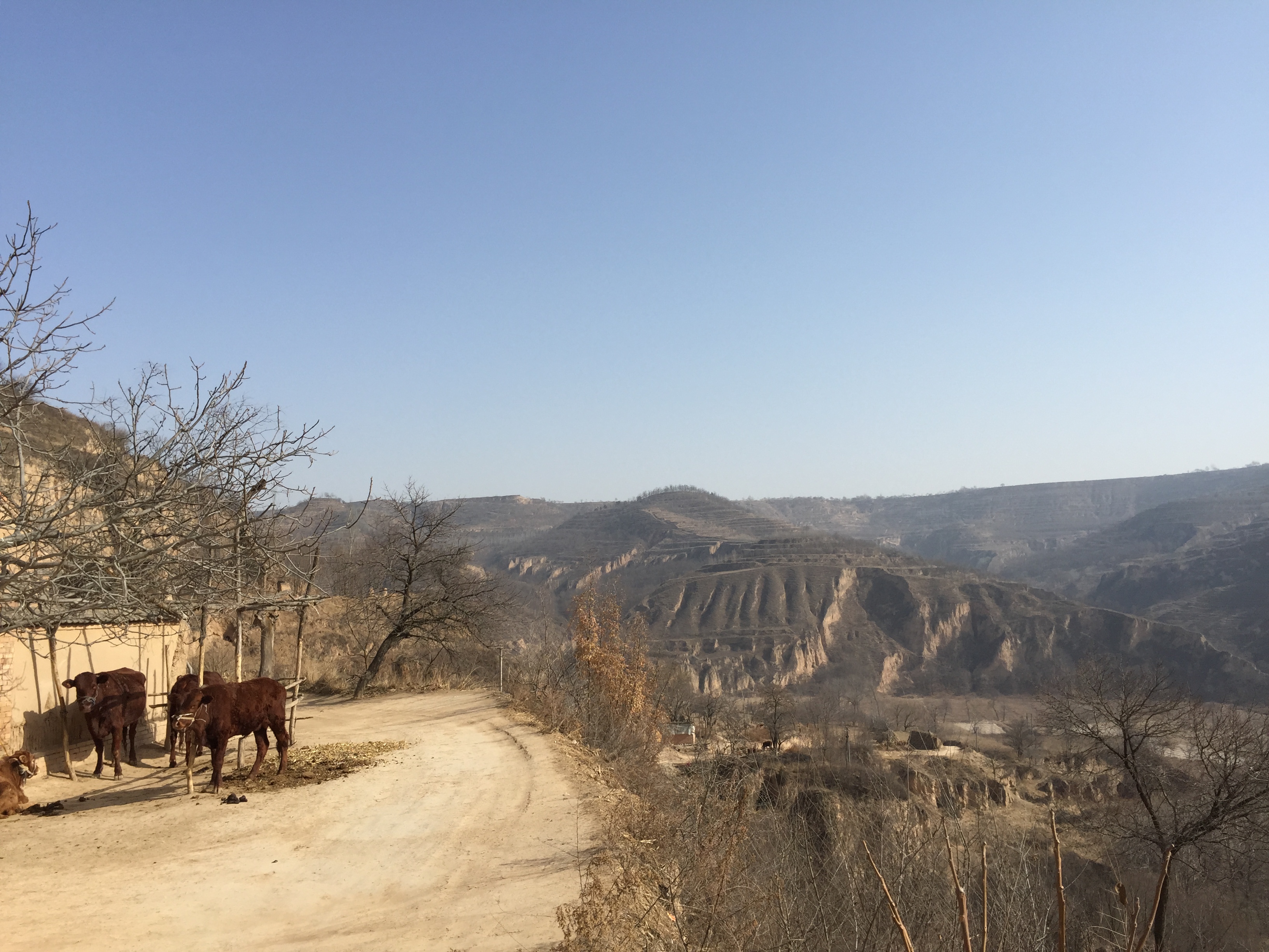 窑洞记忆满满的回忆,记忆中的窑洞