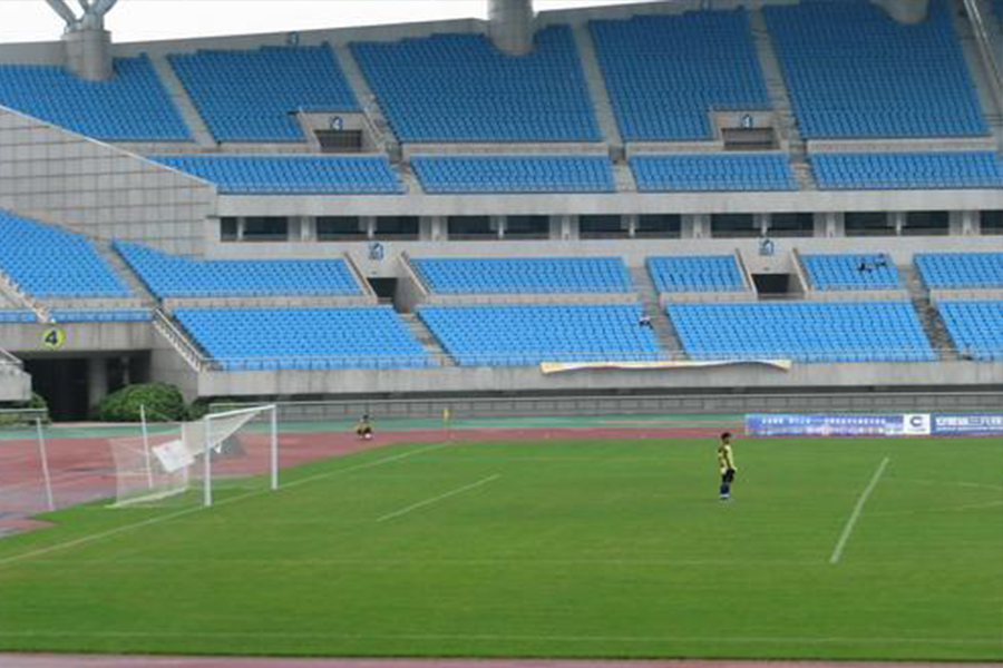 满场球迷,满场球迷为什么没人欢呼