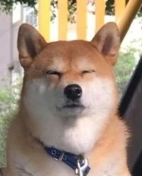 猫砂丢干垃圾还是湿垃圾,猫砂和猫屎可以扔垃圾桶吗