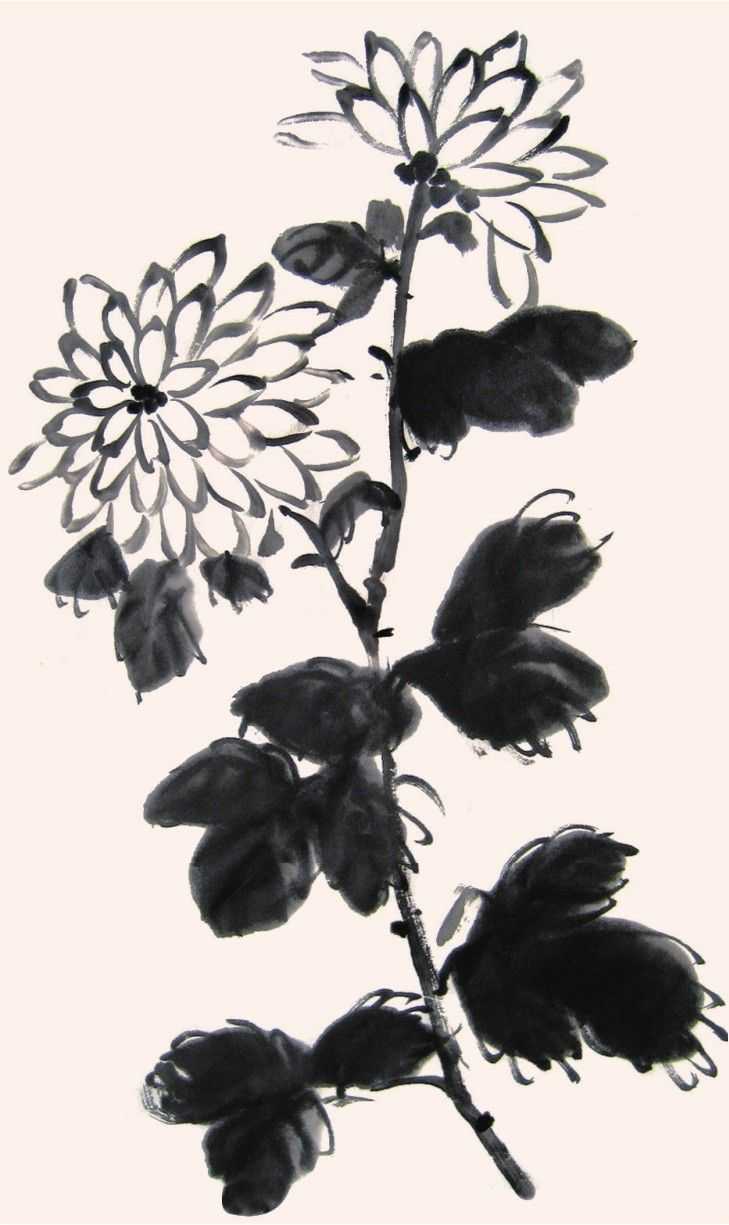 国画知识：不会画菊花？教你5种菊花画法，简单易学，快来临摹吧