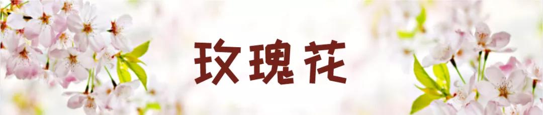 在云南，做一个“花吃”，挺好