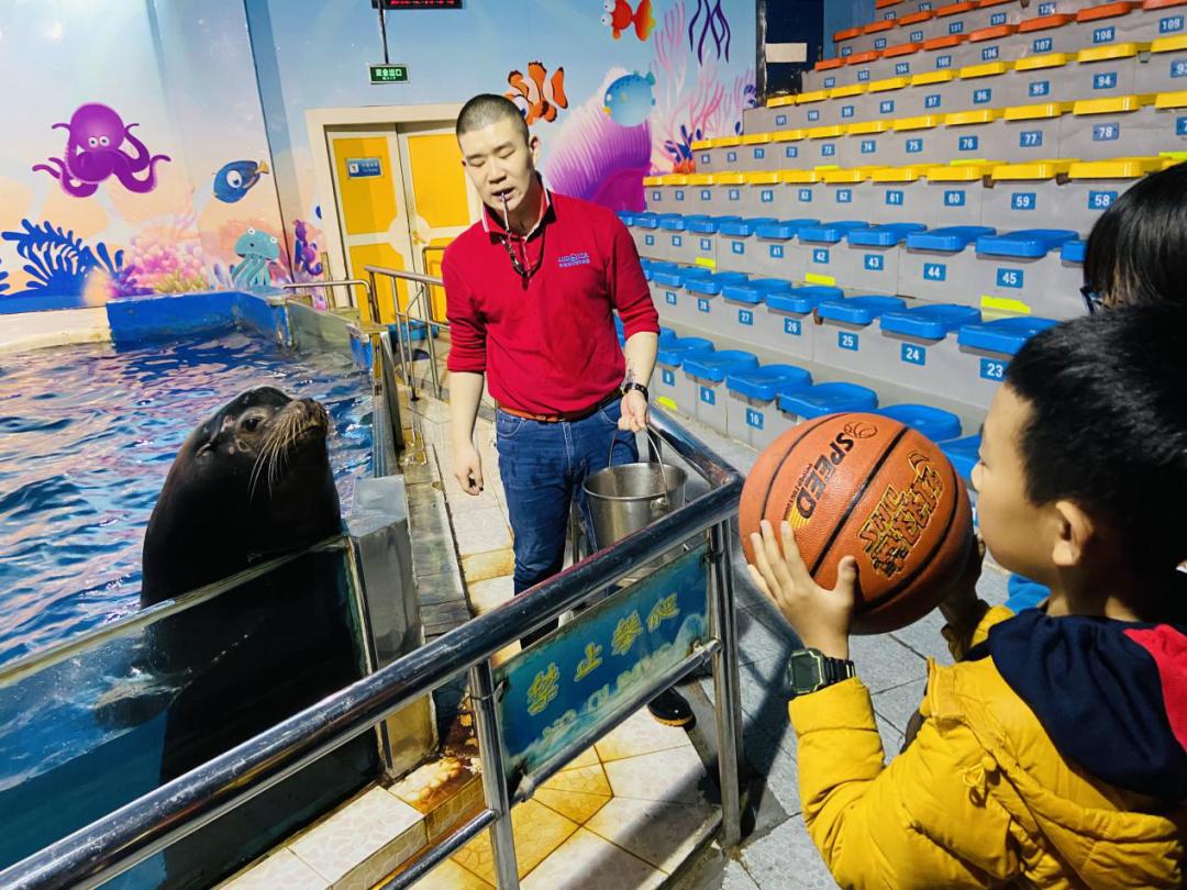 海洋馆奇妙夜,海洋馆探索海洋世界