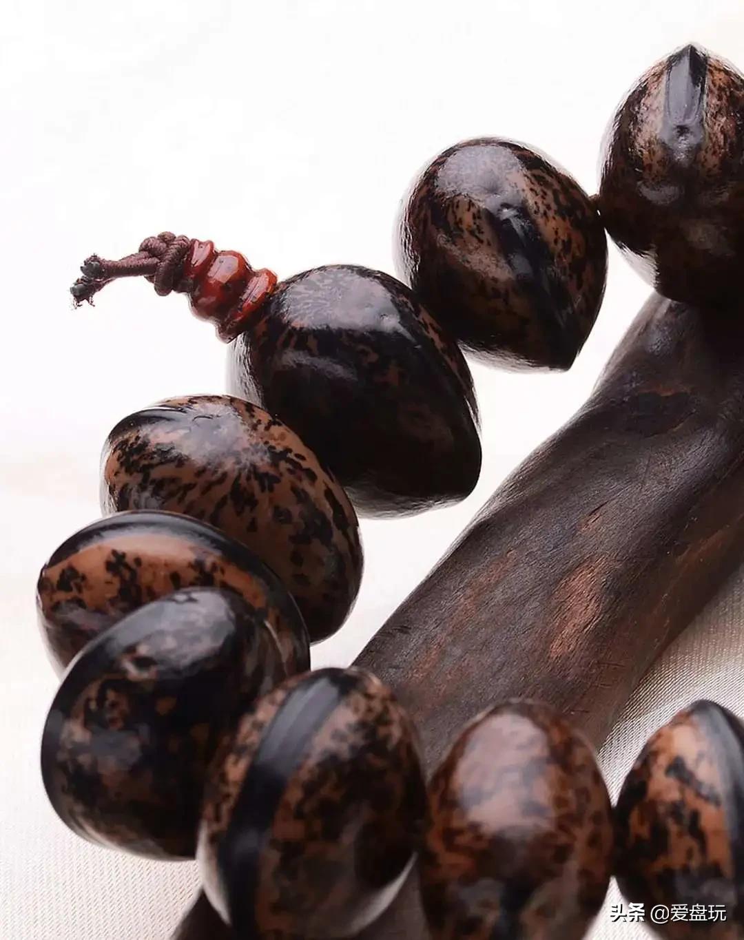 这张菩提子家谱，囊括30种，很少能有人认全