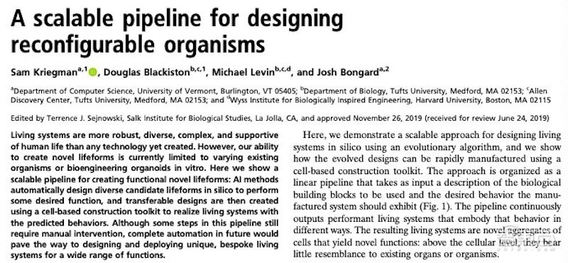 全球首个活体机器人拥有自愈能力,全球首个可繁殖活体机器人问世