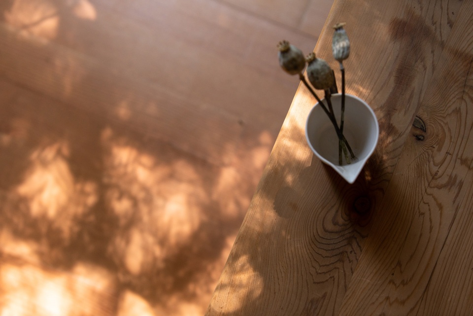 HoodCliff度假住宅，华盛顿州