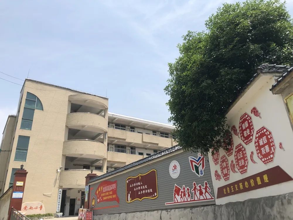 临安最好的小学是哪个,临安小学入学要求